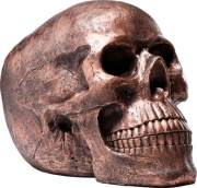 Deco Skull Head Copper Antique