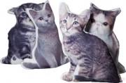 Cushion Pussy Cat Assorted